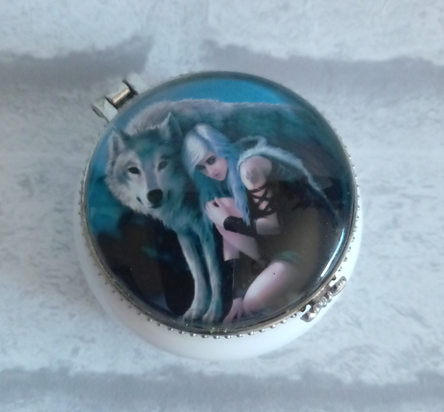 Protector Pill Box