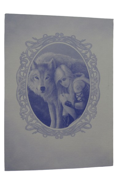 Protector