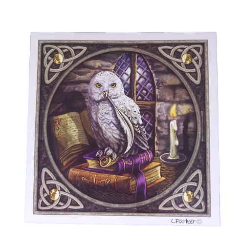 Owl sat on Books
