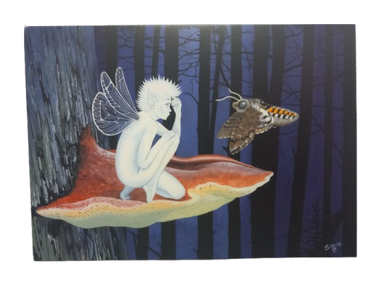 Forest Secrets