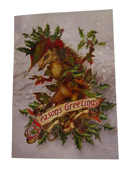 Mr Hedgely's Yuletide Coat