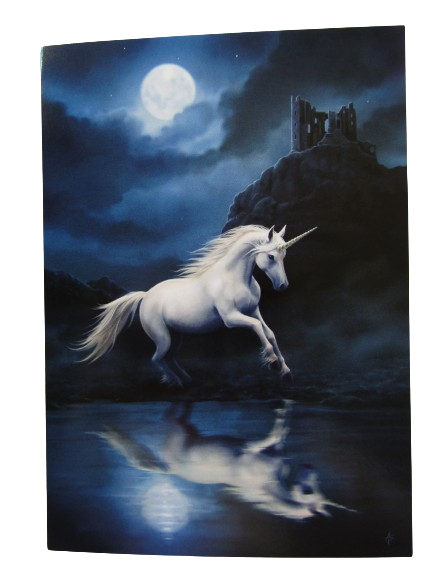 Moonlight Unicorn