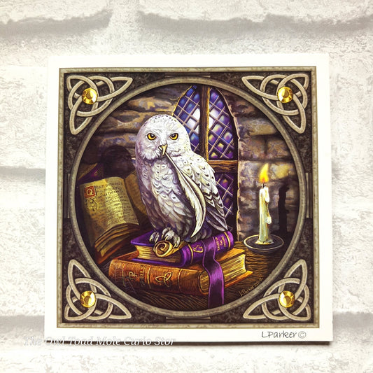 Owl sat on Books