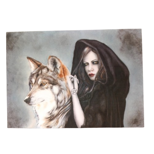 Winter Shroud
